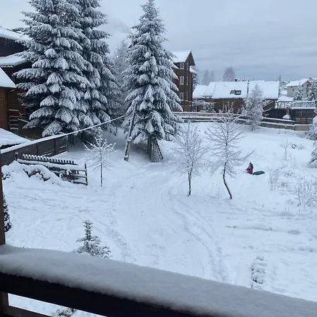 бо&не يابلونيتسيا